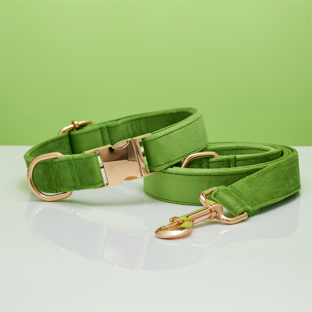 Dog Collar Dog Leash Hand Holding Rope Collar Collar
