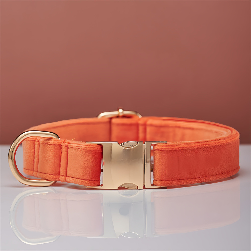 Dog Collar Dog Leash Hand Holding Rope Collar Collar